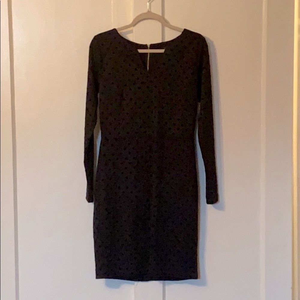THE LIMITED LS Velvet Polkadot Dress